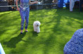 /album/fotogaleria-kamians-joy-n-fun/dsc-1252-jpg/